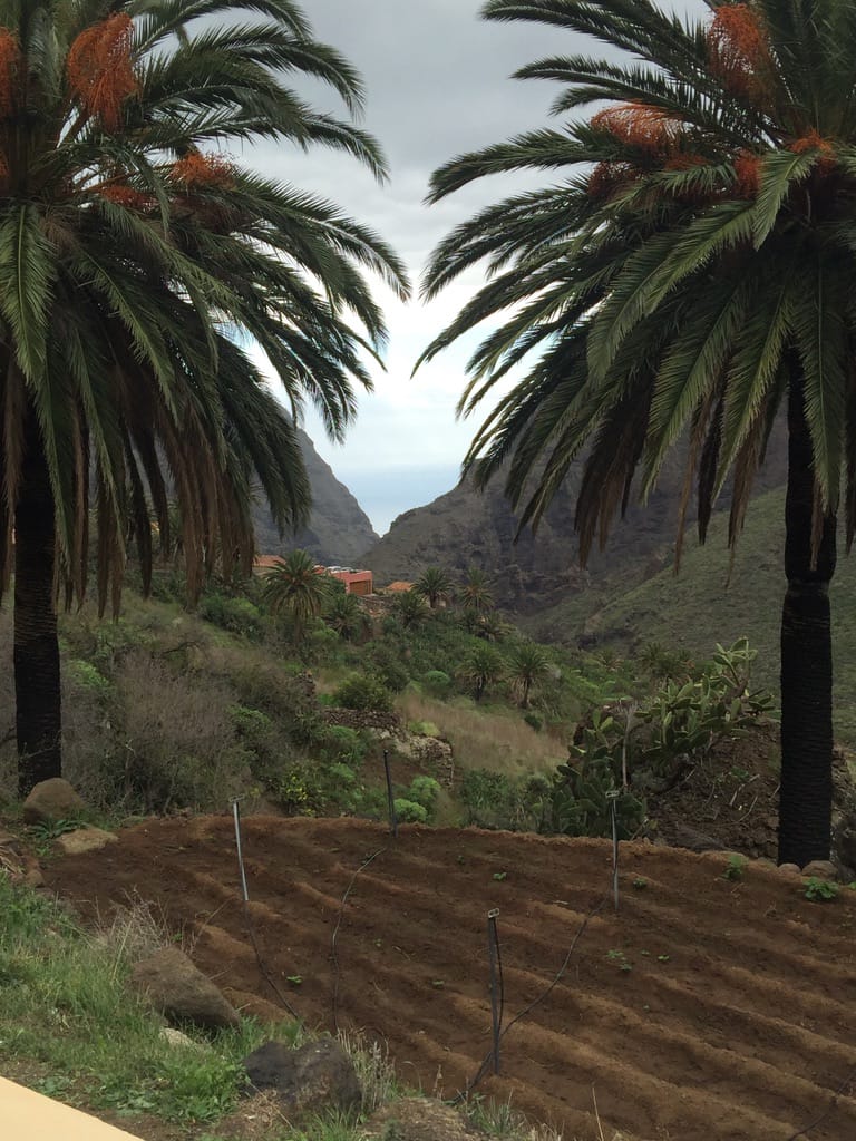 Parque Natural del Teno — Tenerife 2014