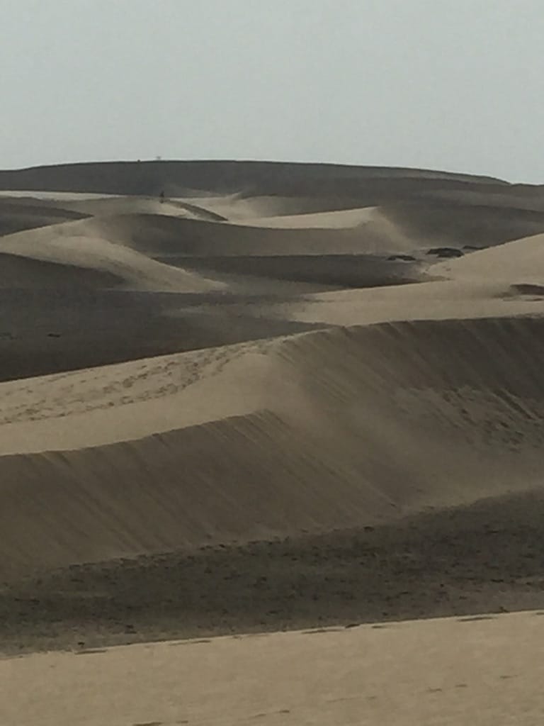 Dunas de Maspalomas — Gran Canaria 2015