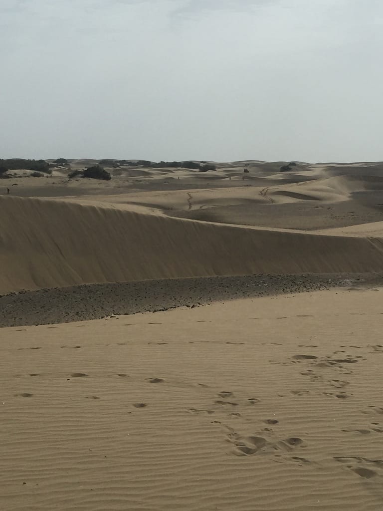 Dunas de Maspalomas — Gran Canaria 2015