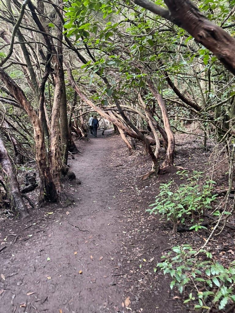 Parque Natural de Anaga — Tenerife 2022