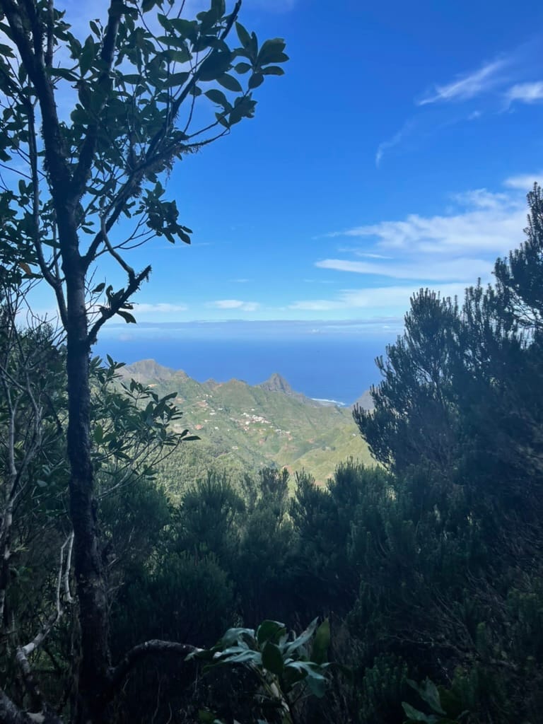 Parque Natural de Anaga — Tenerife 2022