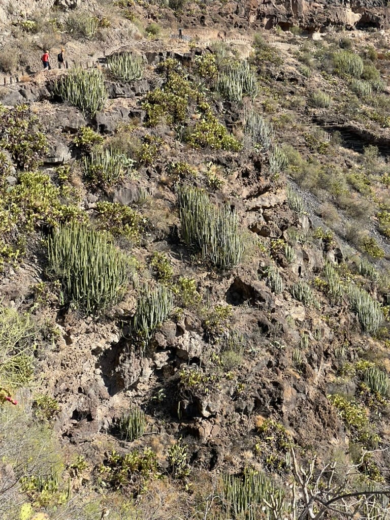 Barranco del Infierno — Tenerife 2023