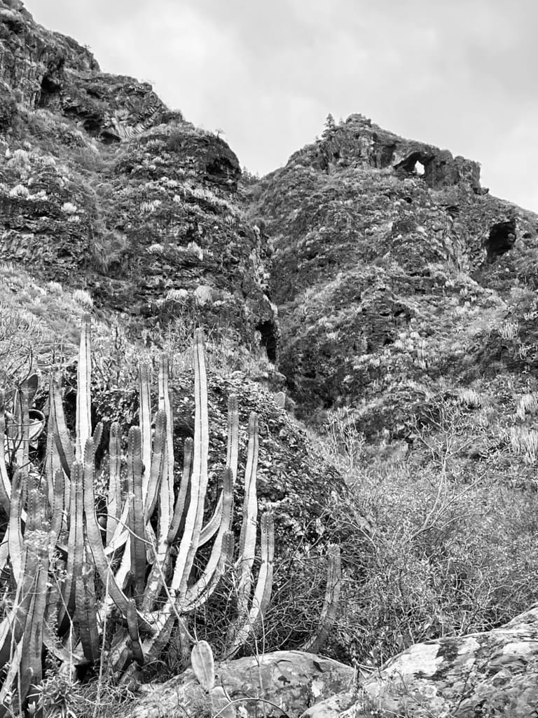 Barranco del Infierno — Tenerife 2023